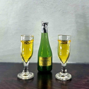 Champagne bottle with 2 glasses