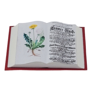 Book, open